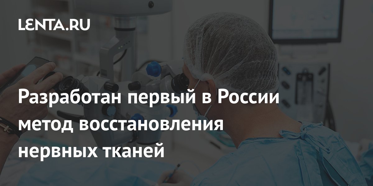 В КубГМУ создали первый в России метод восстановления нервных тканей