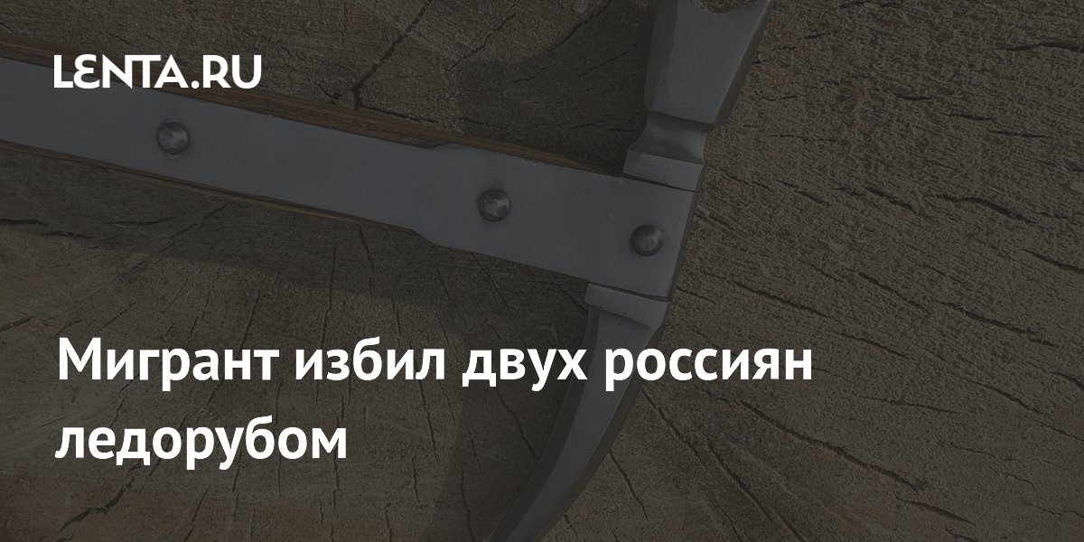 Мигрант получил 3,5 года за избиение двух россиян ледорубом в Туле