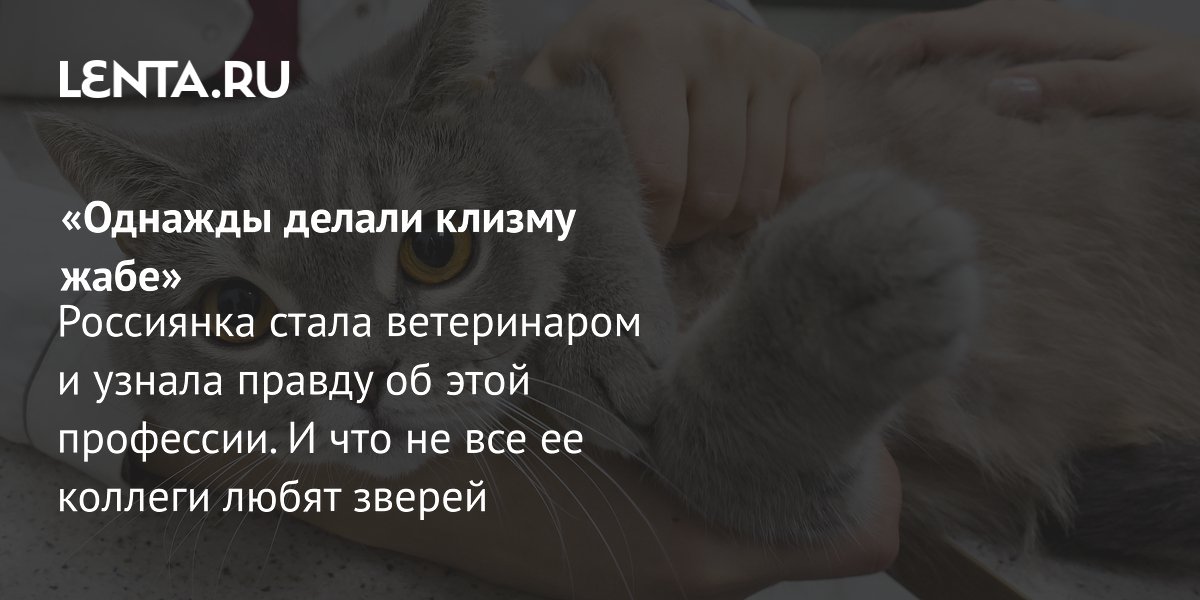 Россиянка стала ветеринаром и узнала, что не все коллеги любят животных