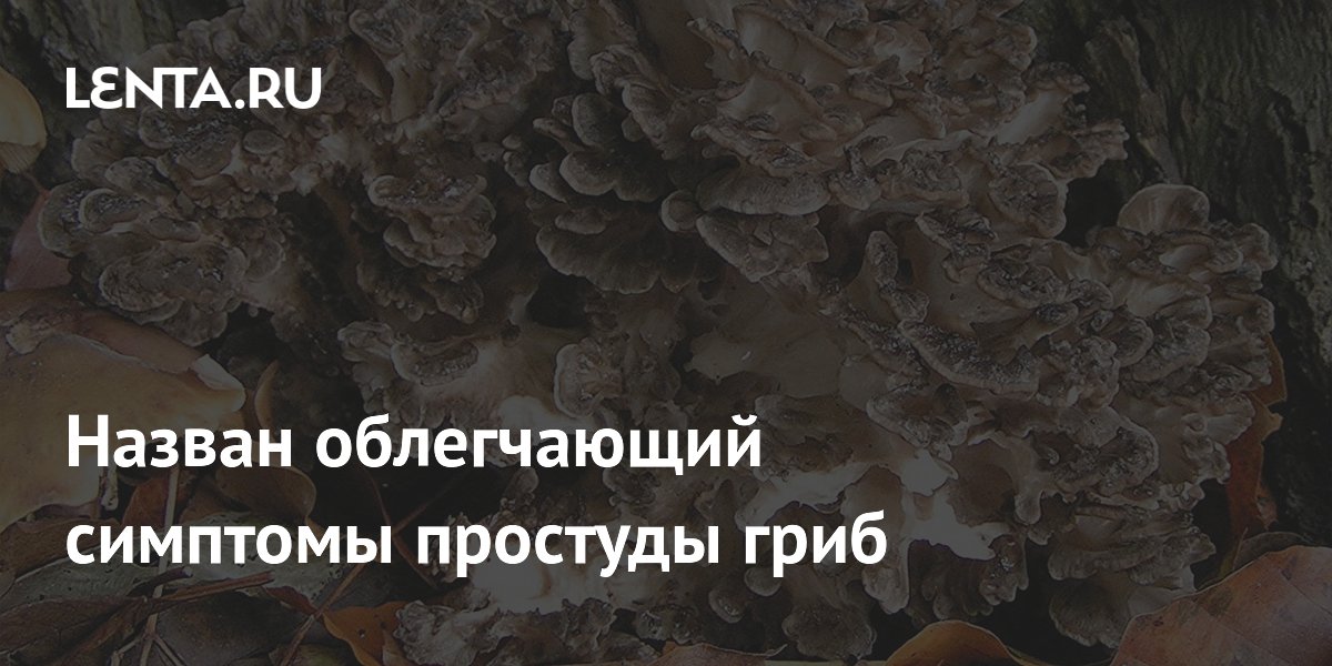 ������� Y10M: ����, ����������� �������� ��������