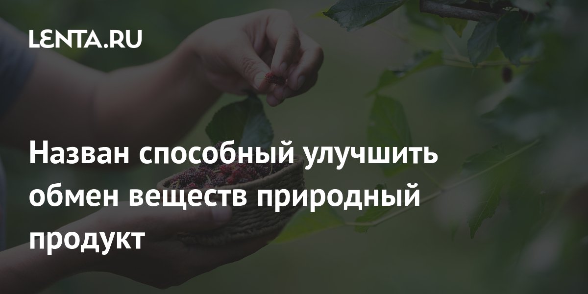 Ученые назвали шелковицу природным продуктом, улучшающим обмен веществ