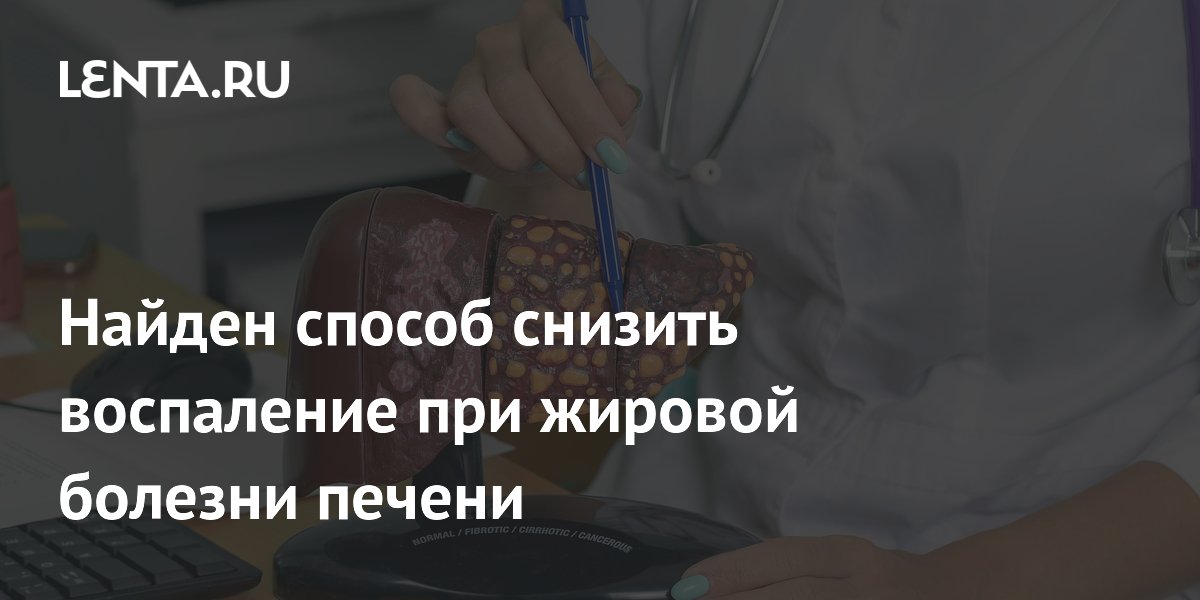 Пробиотики и синбиотики уменьшают воспаление печени при жировой болезни — метаанализ