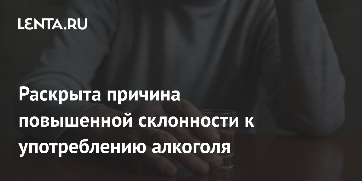 Найдена нервная цепь, объясняющая тягу к алкоголю при одиночестве