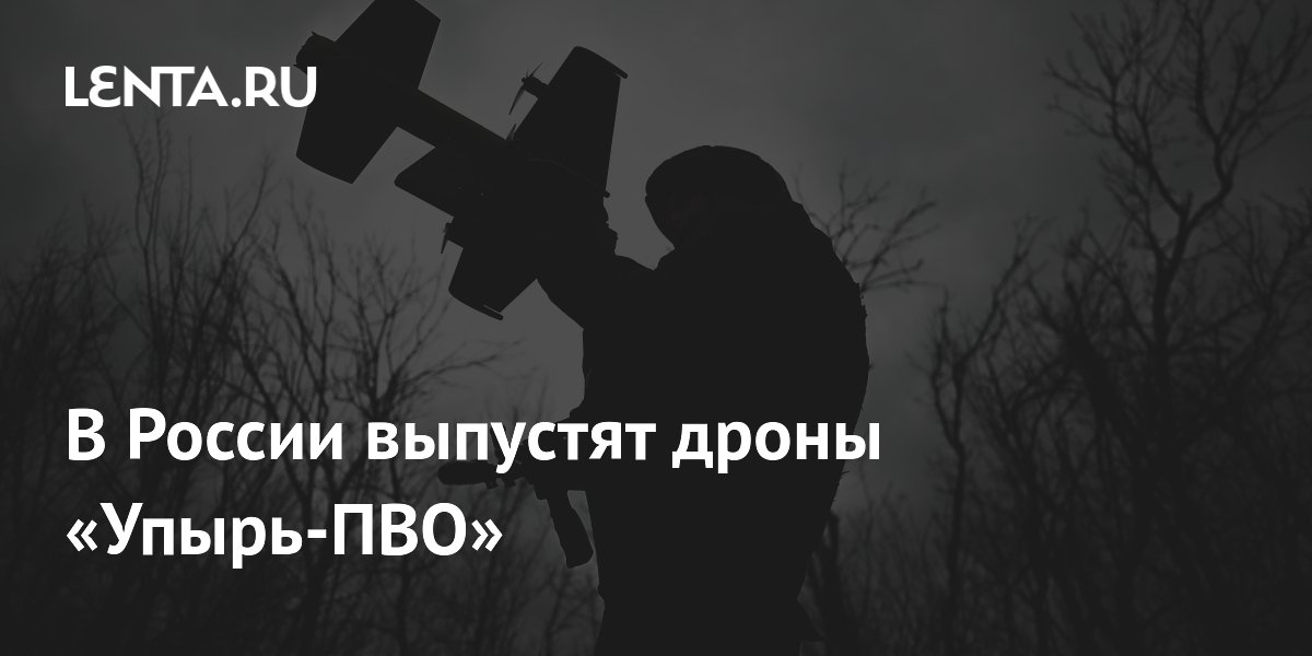 В России осенью начнут серийный выпуск дронов-перехватчиков «Упырь-ПВО»