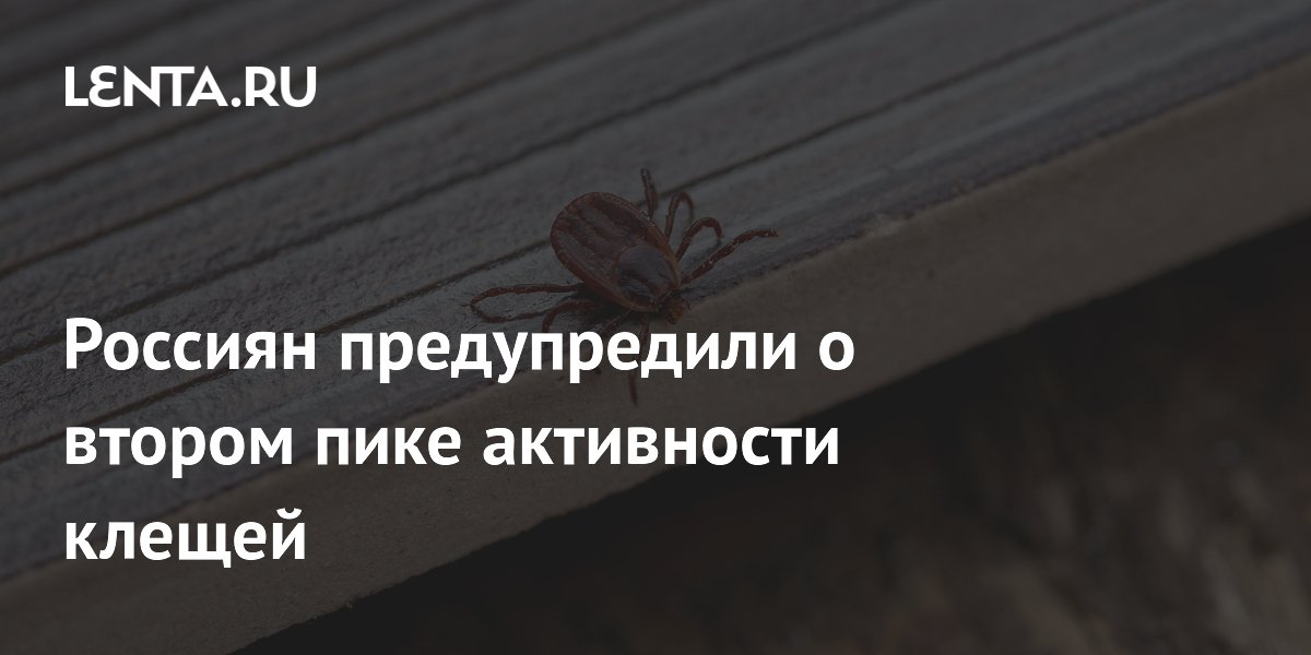 � ������ ������� ������ ��� ���������� ������: ��� ���������� �� ������