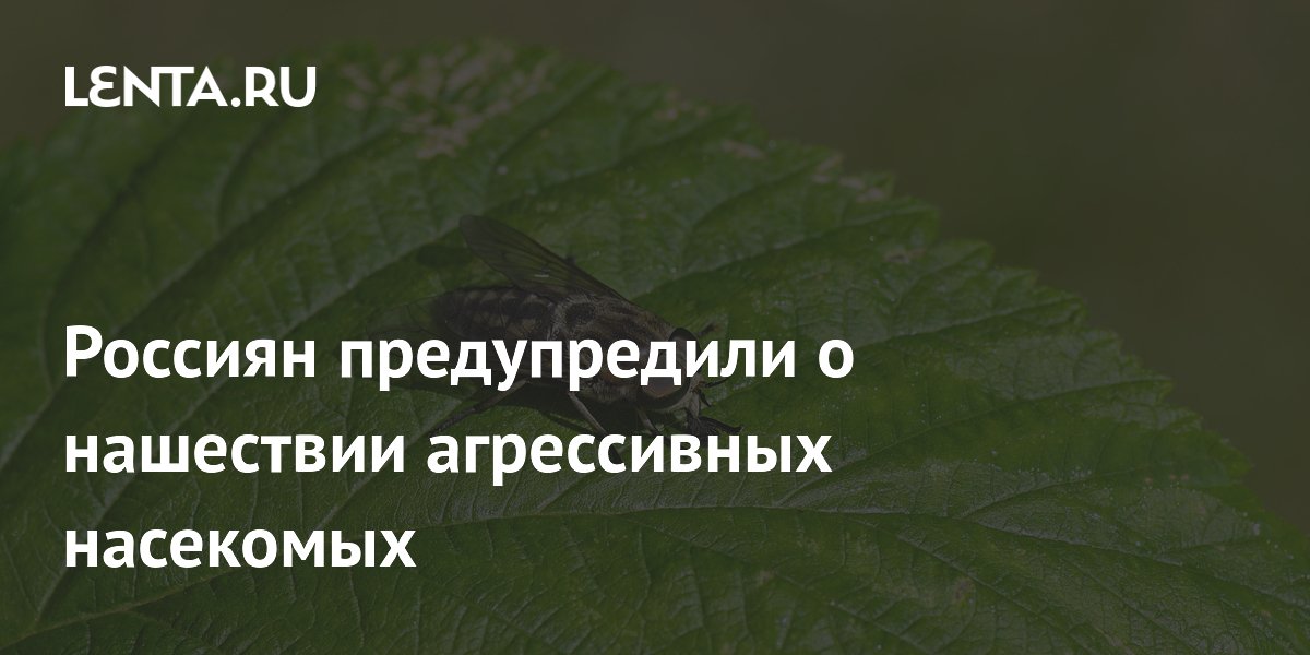 � ����������� ������ ������� ������ ��� ���������� �������: ��� ����������� ������