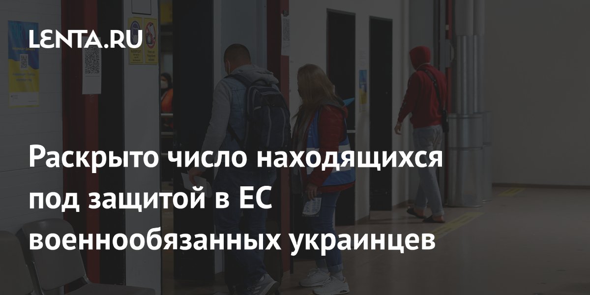 Более 1,1 миллиона украинских мужчин призывного возраста находятся под защитой в ЕС