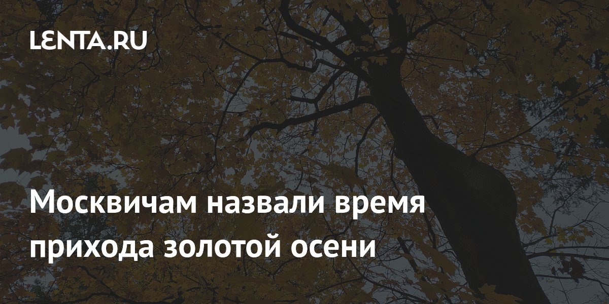 ��������� ������� ����� ������� �����: ������� ��������� � ����� ��������