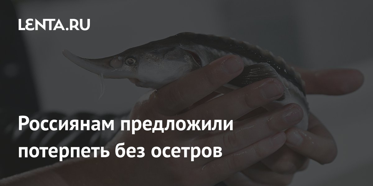 ����� �����: ������ ��������� ��������, ����� ������������ �������