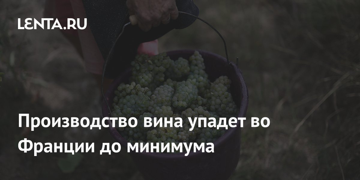 Производство вина во Франции упадёт до минимума за 30 лет