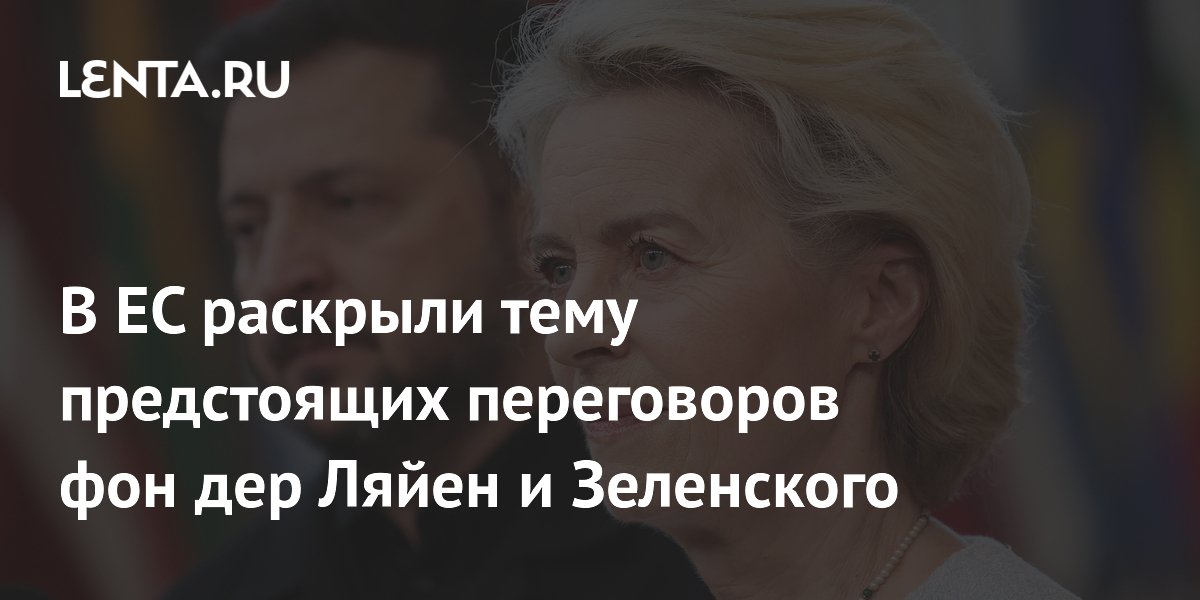 ЕК: фон дер Ляйен может обсудить с Зеленским поездку Уиткоффа и Кушнера