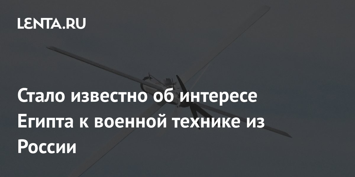 Египет может заинтересоваться российскими дронами «Ланцет-Э» и «Скат-350М»