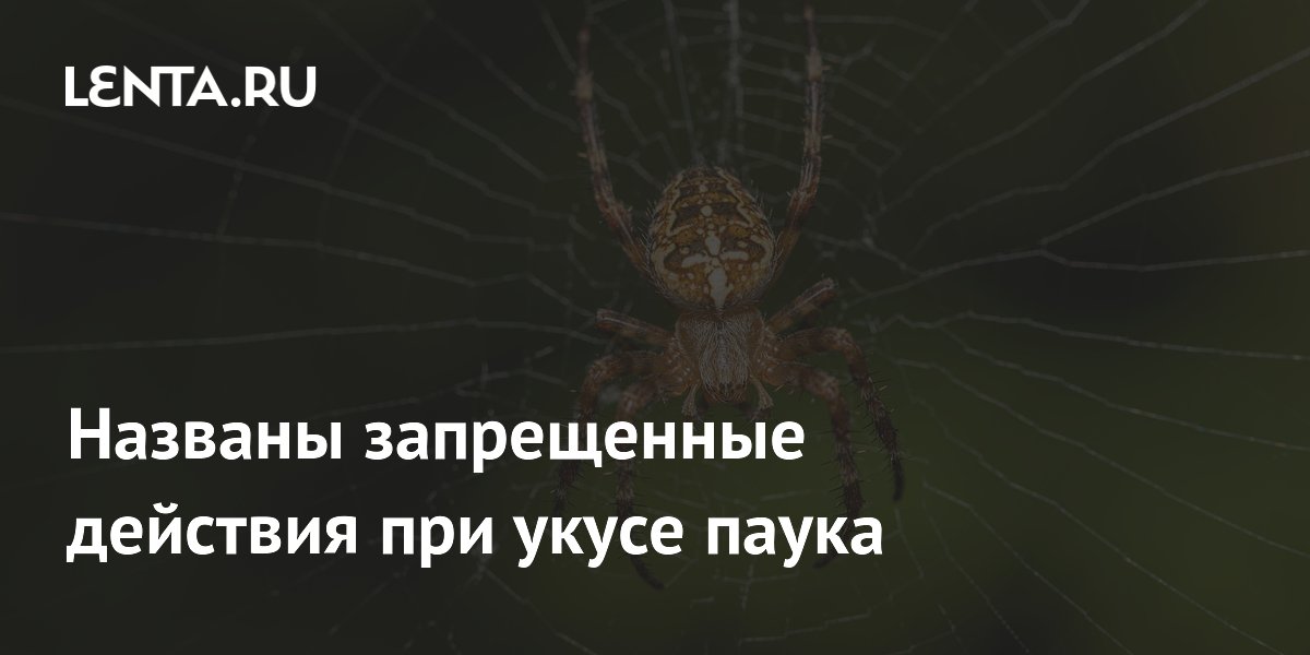 ����������: ��� ����� ����� ������ ��������� � ��������� ����
