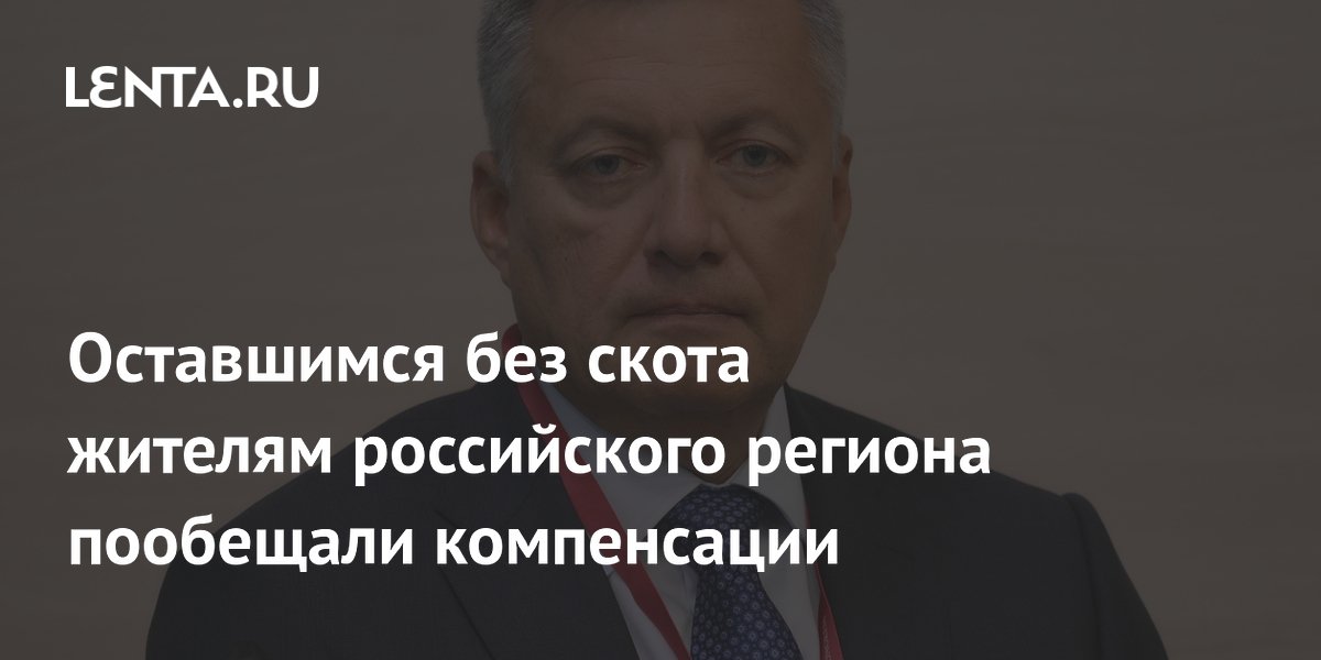 Иркутский губернатор анонсировал повышенные компенсации за скот, забитый из-за дерматита