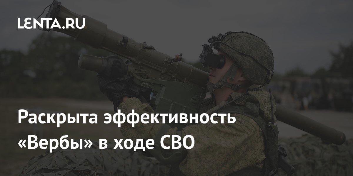 Ростех раскрыл эффективность ПЗРК «Верба» против дронов в зоне СВО